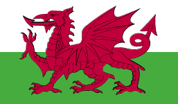 Logo Wales U17