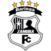 Zamora II