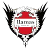 Logo Llamas Kochi FC