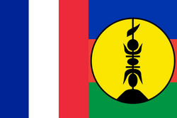 Logo New Caledonia Women