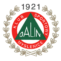 Logo Dalin Myslenice