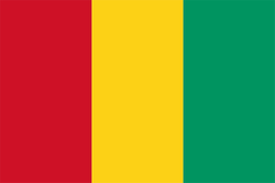 Guinea U17