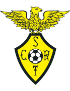 Logo SC Rio Tinto (W)